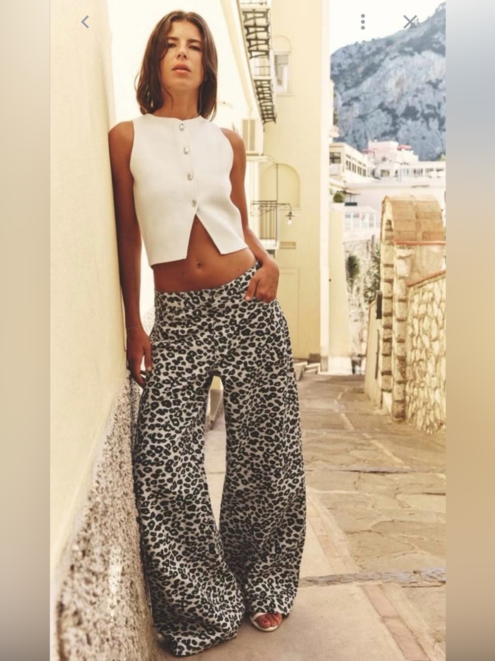 Zara Black & White Wide Leg Leopard Print Pants - Picture 1 of 3